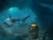 Hra Jumping Dolphin Rescue online