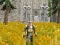 Hra Axe Of The Ancients Dwarven Fury online