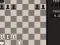 Hra Fun Chess Puzzles! online