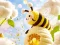 Hra Find The Differences: Little Bee's Adventure online