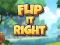 Hra Flip It Right online