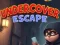 Hra Undercover Escape online