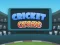 Hra Cricket Craze online