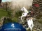 Hra Ertugrul Gazi Horse Sim online