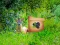 Hra Return To Alsunga Forest online