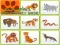 Hra Wild Animals Kids Memory game online