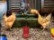 Hra Poultry Farm Easter Escape online