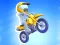 Hra Mad Bikers online
