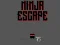 Hra Ninja escape online