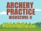 Hra Archery Practice online