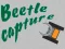 Hra Beetle Capture online