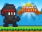 Hra Super Ninja Plumber online