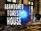 Hra Abandoned Forest House online
