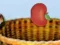 Hra Harvesting online