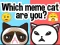 Hra Which Meme Cat Are You? online