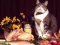 Hra Funny Cats Puzzle online
