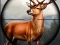 Hra Animal Safari Hunter 2020 online