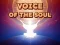 Hra Voice Of The Soul online