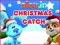 Hra Nick Jr. Christmas Catch online
