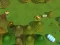 Hra Worms Combat Coop online