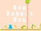 Hra Run Rabbit Run online