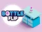 Hra Bottle Flip online