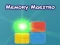 Hra Memory Maestro online