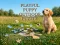 Hra Playful Puppy Outdoor Puzzle online