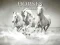 Hra Horses Puzzle online
