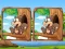Hra Jungle 5 Diffs online