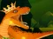 Hra The Dino King online