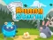 Hra Bunny Storm online