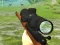 Hra Hunter 3D online