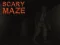 Hra Scary Maze online