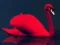 Hra Love Birds Puzzle online