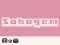 Hra Sokogem online
