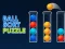 Hra Ball Sort Puzzle online