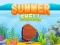 Hra Summer Shell online