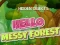 Hra Hidden Objects Hello Messy Forest online