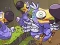 Hra Save The Dodos online