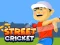 Hra Street Cricket online