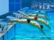Hra Swimming Pool Race online