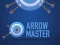 Hra Arrow Master online