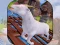 Hra Angry Goat Wild Animal Rampage online
