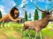 Hra Realistic Lion Hunting Animal 2024 online