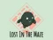 Hra Lost In The Maze online