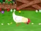 Hra Stupid Chicken online