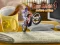 Hra Bike Mania 4 Micro Office online