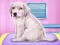 Hra Labrador at the doctor salon online
