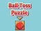 Hra Ball Toss Puzzle online